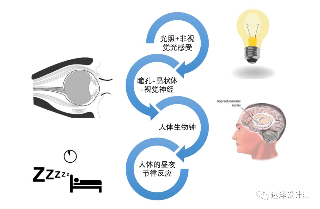 室内照明对人体健康的影响