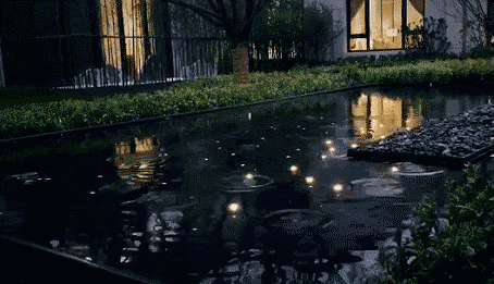 1 (10).gif